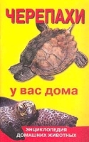 Черепахи у вас дома артикул 7864a.